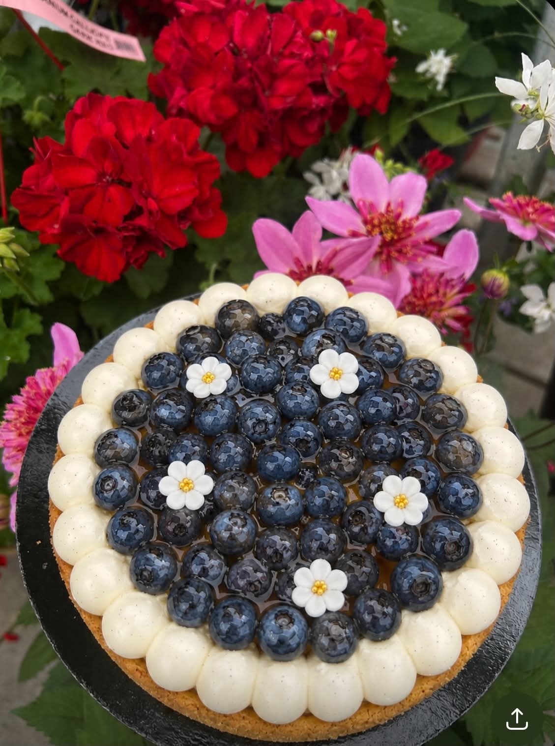 Tarte citron bleuets 6-8 pers.