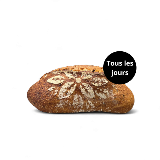 Multi-grains